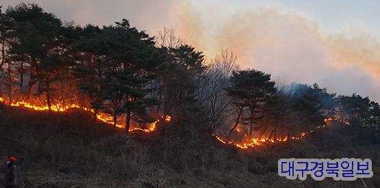 경북 영덕군 창수면 오촌리 산불 발생